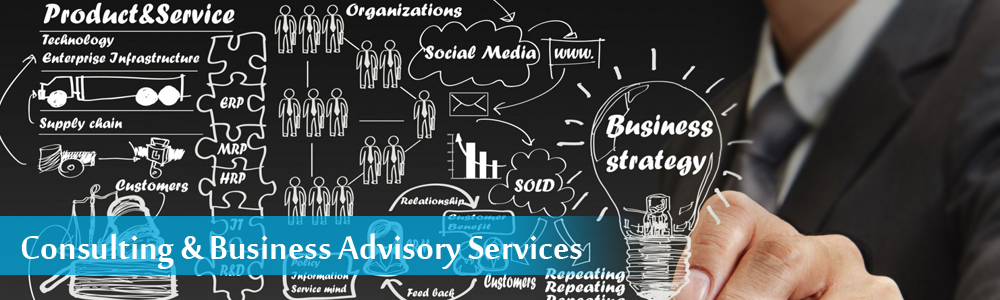 Consulting & Advisory Services